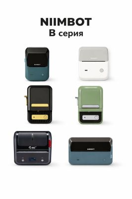 NIIMBOT B серия