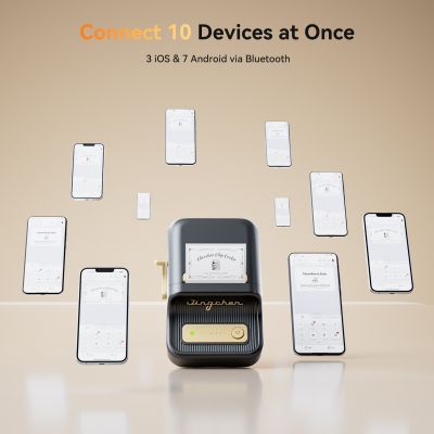 Термален принтер Niimbot B21_S 